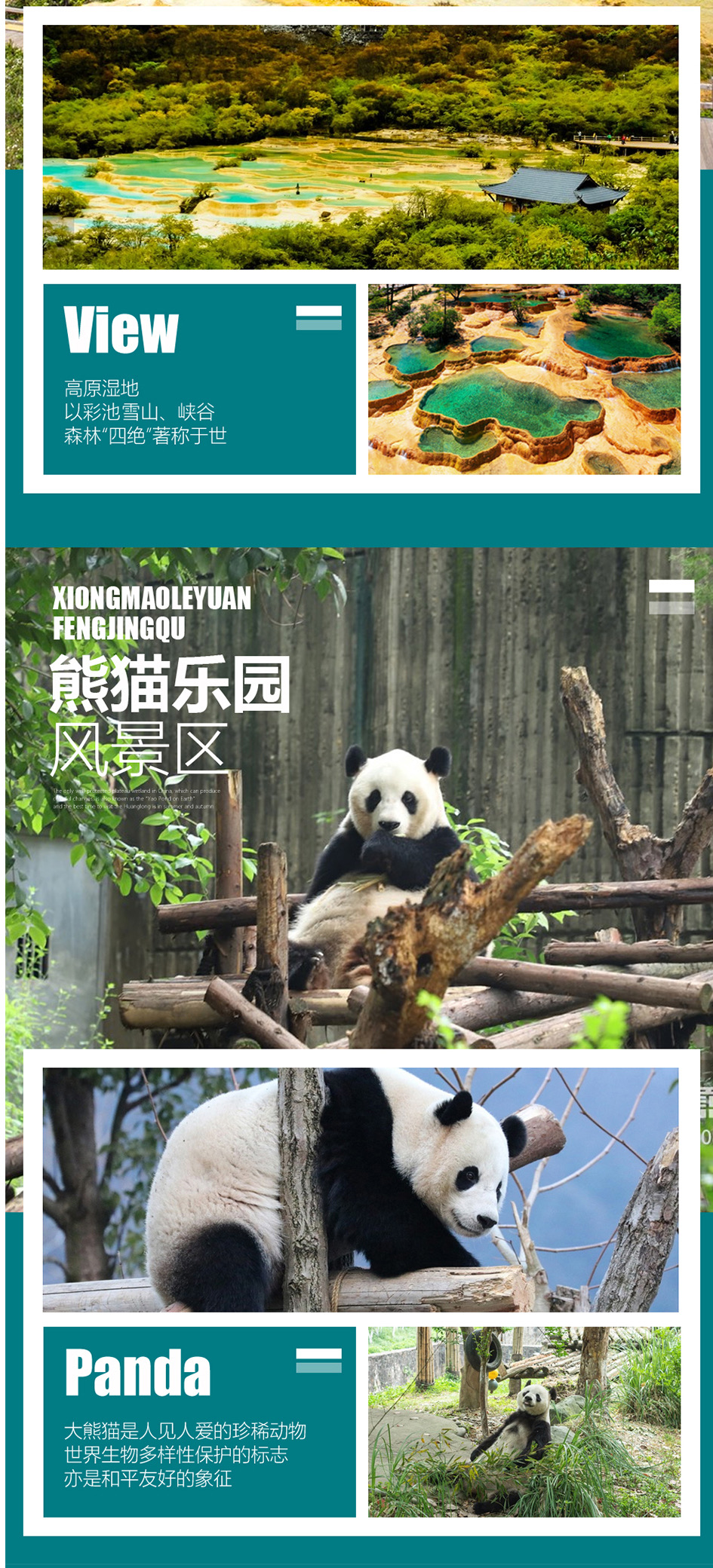 1713114599138002.jpg 5.jpg