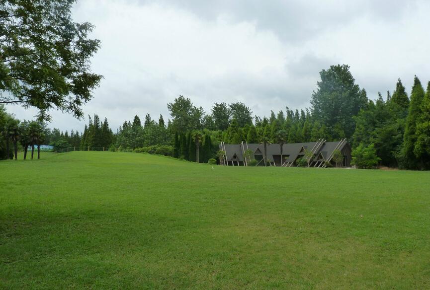 1713323520126943.jpg 图片3.jpg